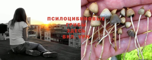 2c-b Аркадак