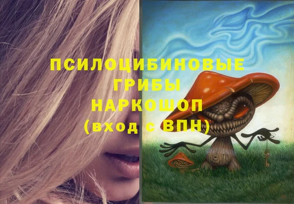 PSILOCYBIN Арсеньев