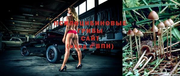 PSILOCYBIN Арсеньев
