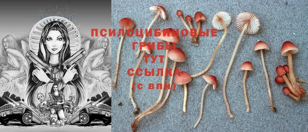 дживик Няндома