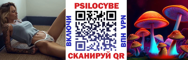KRAKEN сайт  цены наркотик  Черняховск  Псилоцибиновые грибы Psilocybine cubensis 