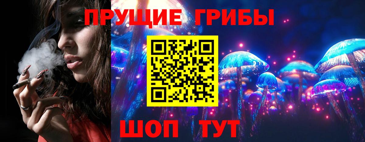 Галлюциногенные грибы Psilocybine cubensis  Вход с VPN  Черняховск  Галлюциногенные грибы Psilocybine cubensis 