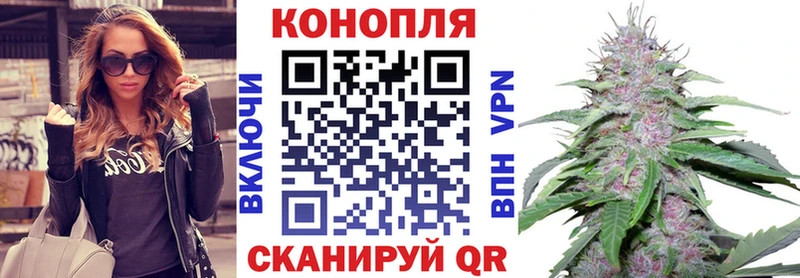 ОМГ ОМГ   продажа наркотиков  Черняховск  Каннабис OG Kush 