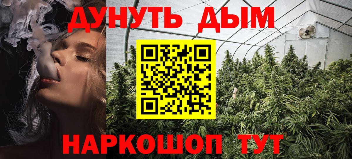 Каннабис сатива Черняховск